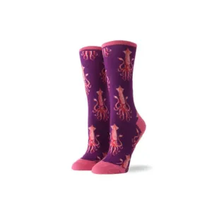 Socks Squid